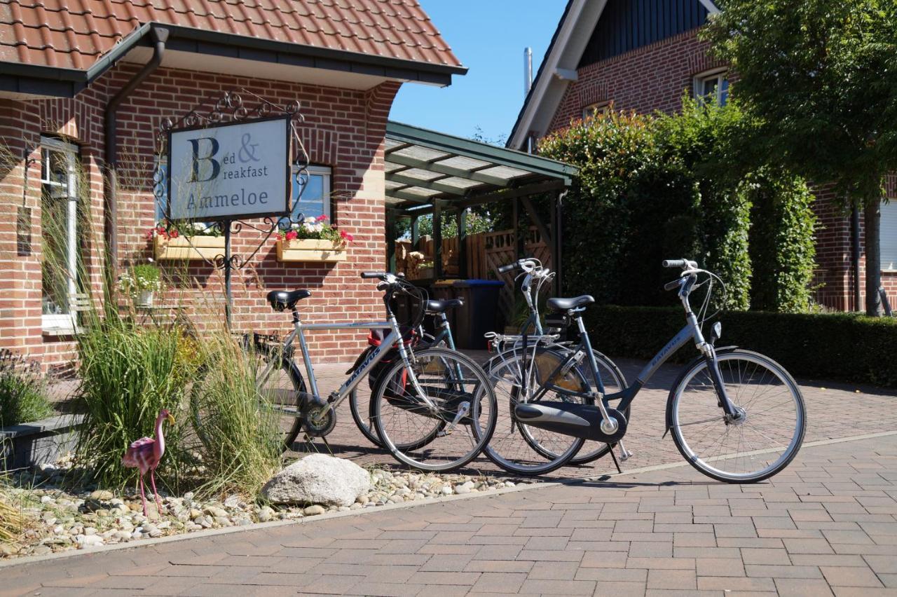 Bed And Breakfast Ammeloe Vreden Exterior foto
